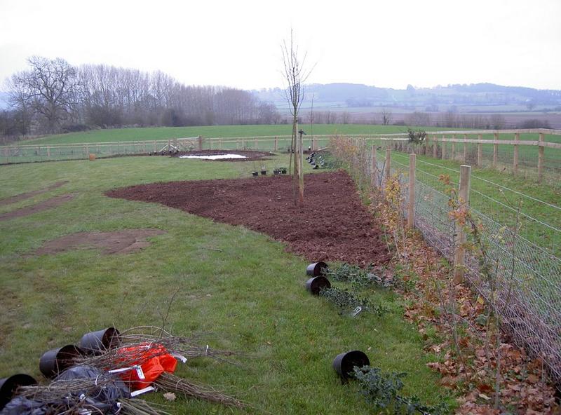 Boundary planting preparation